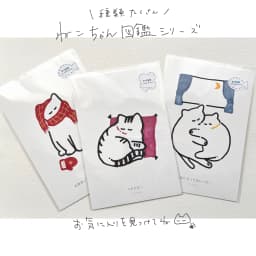 お手入れねこ - サムネイル 3