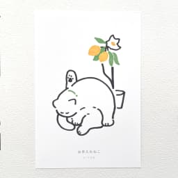 お手入れねこ - サムネイル 1