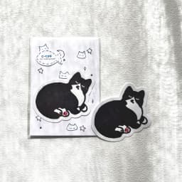 白靴下ねこ - サムネイル 2