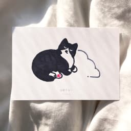 白靴下ねこ - サムネイル 1