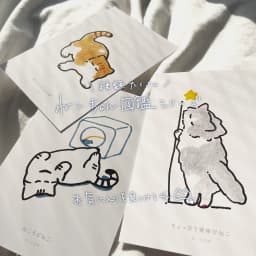 ちょっぴり背伸びねこ - サムネイル 4