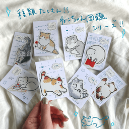 3色の毛のねこ - サムネイル 3