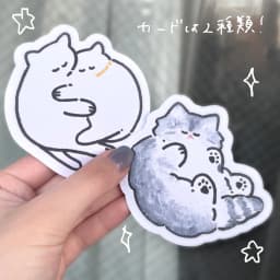 ねこのメッセージカードと封筒セット - サムネイル 5