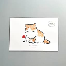 お花きれいだねこ - サムネイル 2
